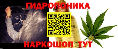 гашик Сланцы