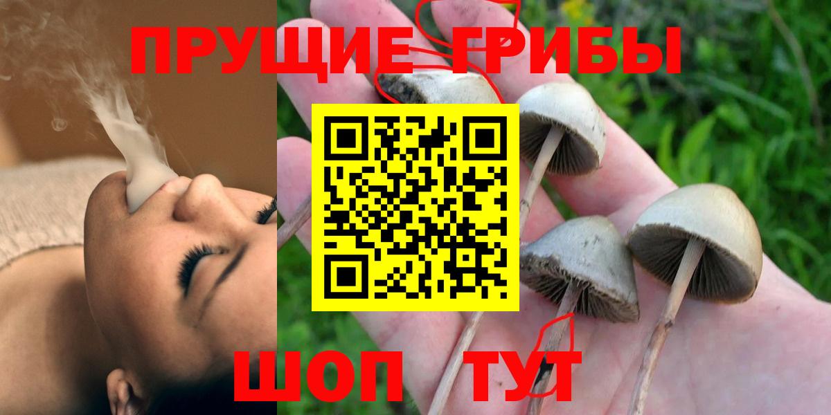 Псилоцибиновые грибы Psilocybe  Вход с VPN  Похвистнево 